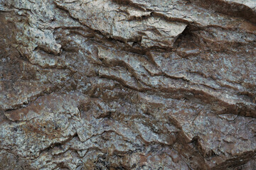 Abstract dark stone background. Wet boulder texture.