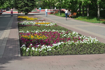 spring in the park