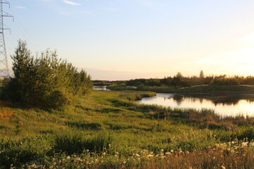 Fototapeta na wymiar Evening On The Wetlands, Pylypow Wetlands, Edmonton, Alberta