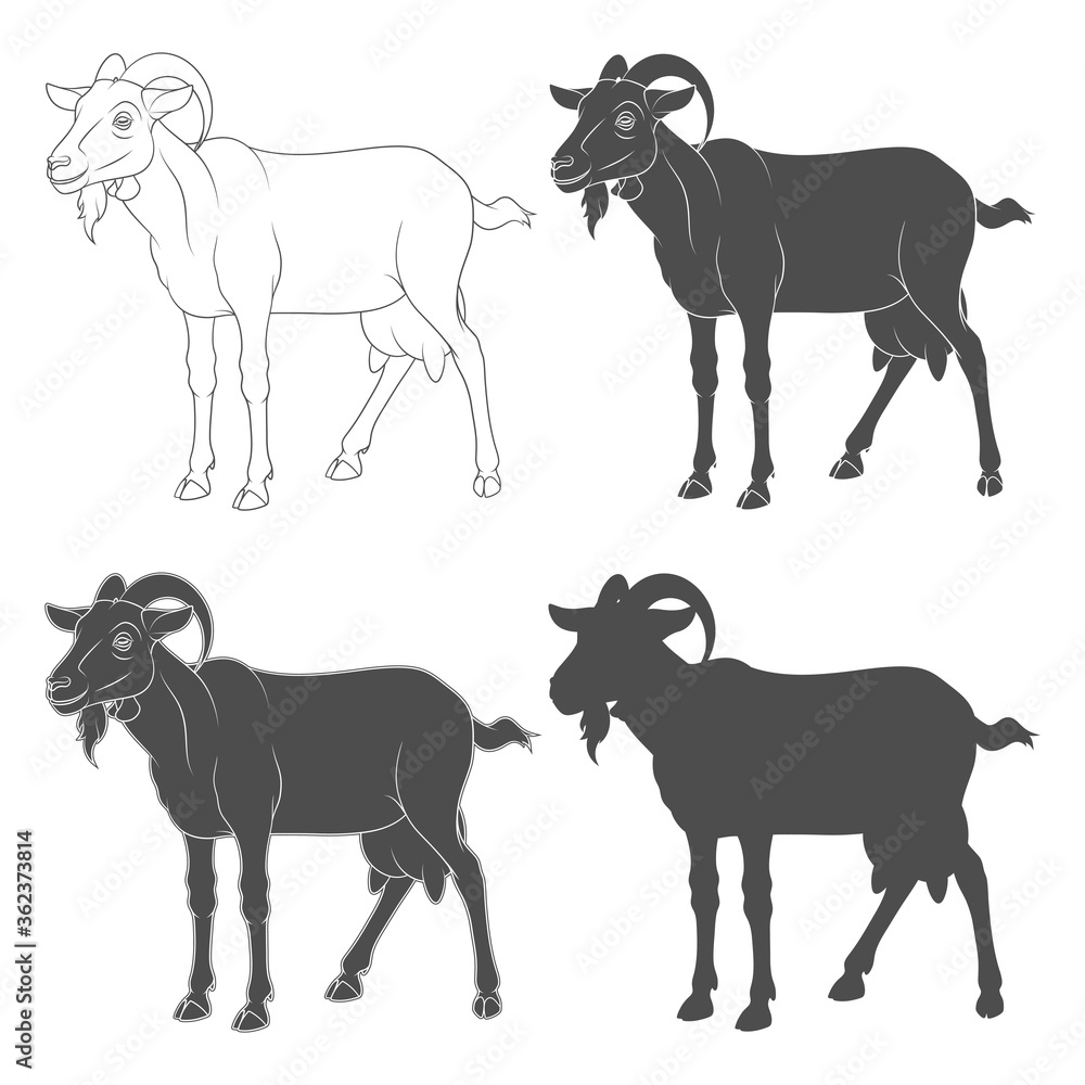 Poster set of black and white illustrations depicting a goat. isolated vector objects on a white background