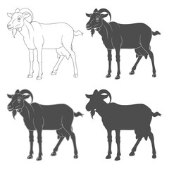 Set of black and white illustrations depicting a goat. Isolated vector objects on a white background.