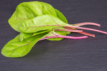 fresh chard leaves - beta vulgaris
