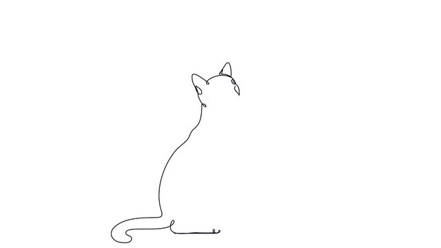 Cat playing with a toy. Continuous line drawing. black continuous line on a white background.