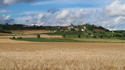 Fototapeta na wymiar Paysage de campagne en été, champ d'orge en Champagne Ardenne dans le Grand Est, avec le village de Châtillon sur Marne en arrière-plan (France)