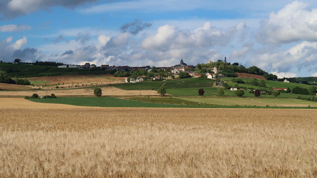 Paysage de campagne en &eacute;t&eacute;, champ d'orge en Champagne Ardenne dans le Grand Est, avec le village de Ch&acirc;tillon sur Marne en arri&egrave;re-plan (France)
