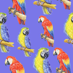tropical parrot pattern watercolor silhouette tropical birds animals isolate object background 