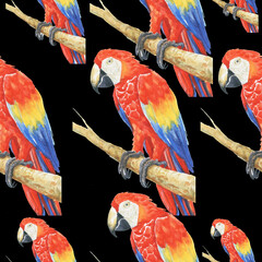tropical parrot pattern watercolor silhouette tropical birds animals isolate object background 