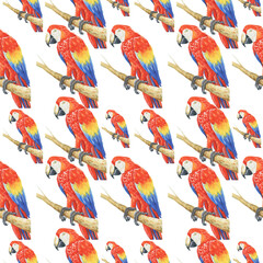 tropical parrot pattern watercolor silhouette tropical birds animals isolate object background 