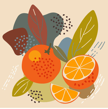 Abstract Pastel Colors Fruit Element Memphis Style. Vector Illustration Of Orange On Retro Abstract Background For Organic Food Packaging, Natural Cosmetics, Vegetarian, Vegan Products. Orange Label.