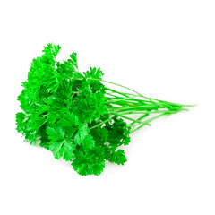 Fresh parsley leaves isolated on a white background.