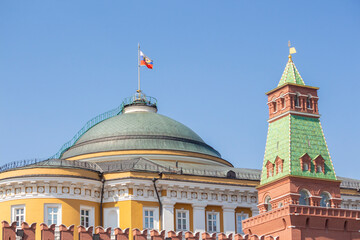 Obraz premium View of The Senate Tower of Moscow Kremlin and Residence of the President of Russia from Red Square in Moscow, Russia. Clear blue sky. Landmark theme.