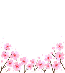 Cherry blossom branch on white background vector.