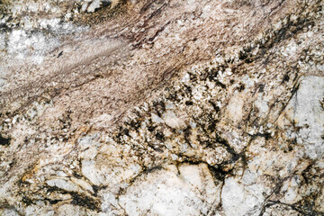 beautiful abstract natural texture background of white and dark brown color