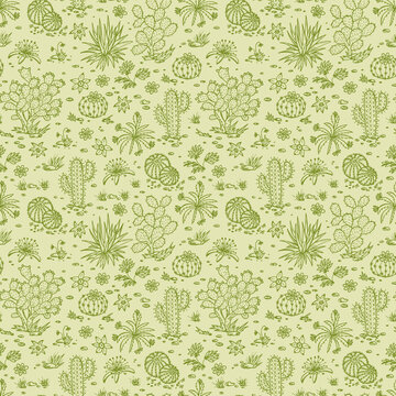 Mexican flora Vector Seamless pattern. Nature of Mexico. Hand drawn doodle Plants, Cactus