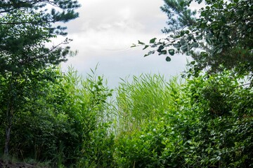 Fototapeta premium Photo of the scenery of the lake . Natural scenery