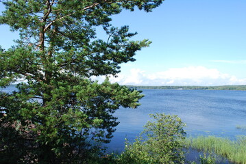 Beautiful park with  a lake