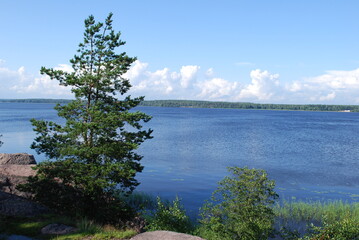 Beautiful park with  a lake