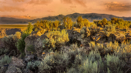 Golden Hour at Rio Grande Gorge Taos