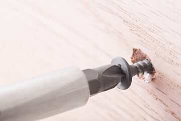 screwdriver screw in a wood oaks plank