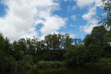 Going fo a walk at the forest lake in Kelsterbach near Frankfurt, Germany in the spring