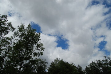 Going fo a walk at the forest lake in Kelsterbach near Frankfurt, Germany in the spring