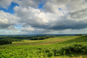 Fototapeta na wymiar Rainy landscape from Bradgate Park United Kingdom