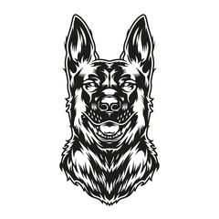 German shepherd dog