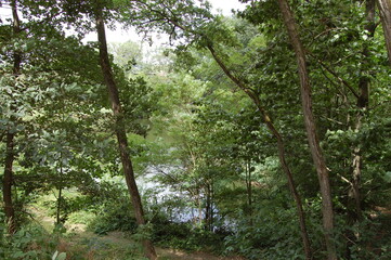 Going fo a walk at the forest lake in Kelsterbach near Frankfurt, Germany in the spring