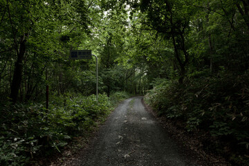 2011年　飯館村　入口　山道