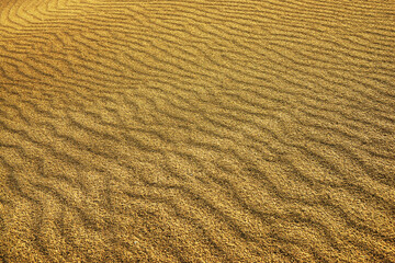 Abstract sand pattern in Sahara Desert, Africa
