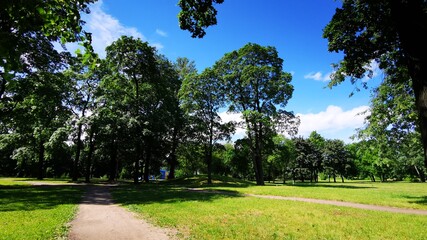 Park near the railway station Kushelevka in the city of St. Petersburg, Russia.