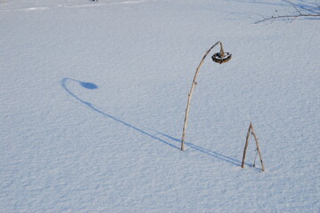snow on the snow