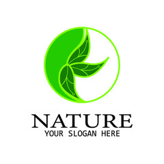 Fototapeta premium eco friendly logo design
