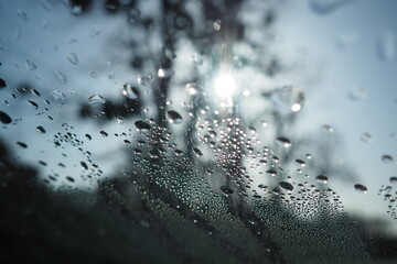 Drops on the window