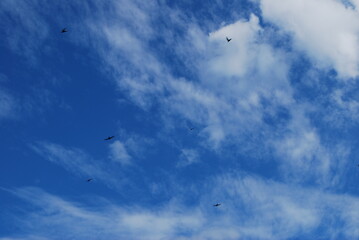 Sky