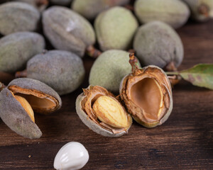 Evolution of almonds, fruit from tree to almond peeled