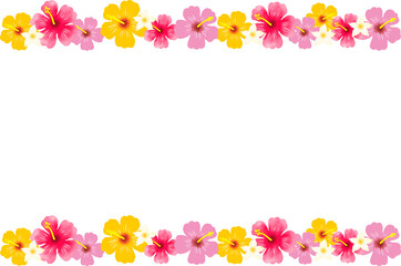 ハイビスカスとプルメリアフレーム