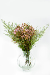 bouquet of flower on glass vase on white isolated background