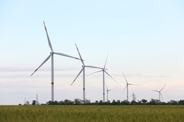 Beautiful view of landscape with wind turbines in evening. Alternative energy source