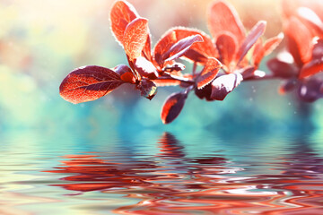 tree branch with red leaves over the water in a sunny autumn day, beauty in nature concept, delightful nature backgrounds - 362395642