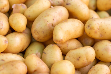 Pommes de terre nouvelles de l'Ile de Ré en vrac