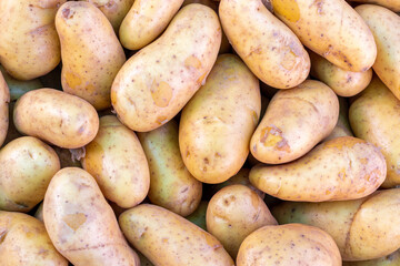 Pommes de terre nouvelles de l'Ile de Ré en vrac