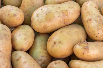 Pommes de terre nouvelles de l'Ile de Ré en vrac