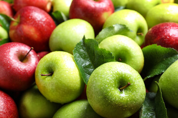Pile of wet apples with leaves as background, closeup