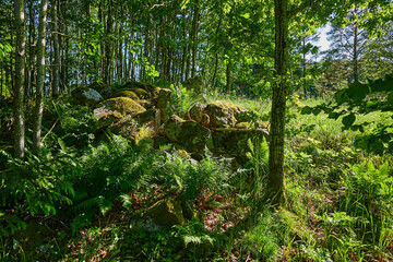 Pile of stone in the forest outside Stockholm