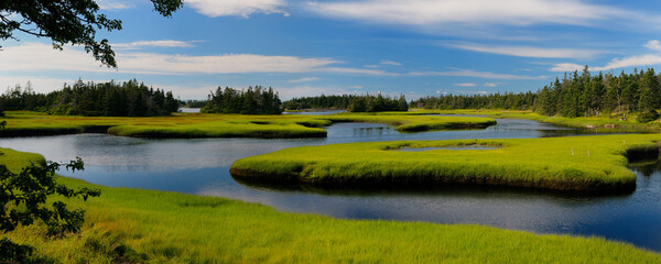 Panorama of tide pool water with salt marsh cordgrass on Cape Sable Island Nova Scotia