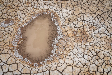Dried and cracked desert surface and the last of small water pool from rain. 