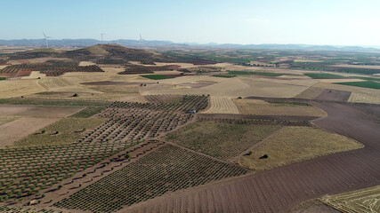 Veranos de La Mancha 