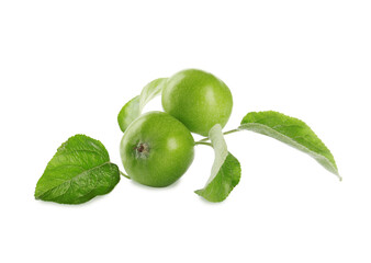 Fresh juicy apples with leaves isolated on white