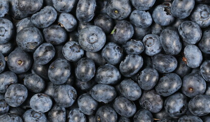 Blueberry fresh background and texture